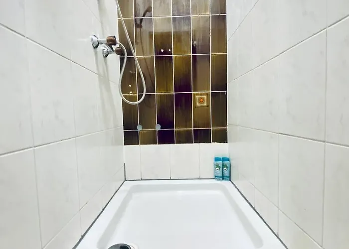 Private In Comfortable 4-bedroom Daire Viyana